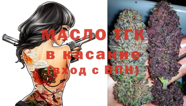 тгк Пересвет