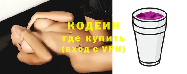тгк Пересвет