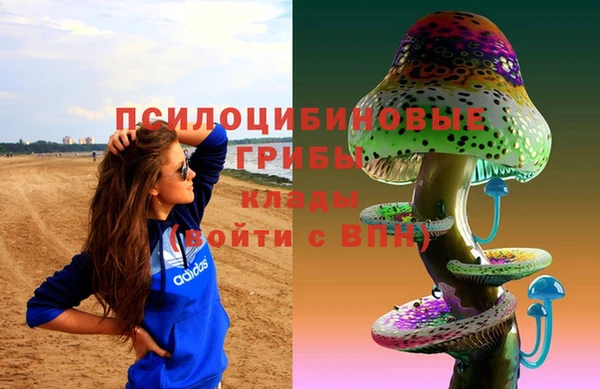тгк Пересвет