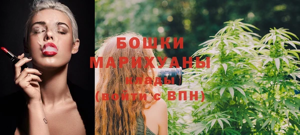 тгк Пересвет