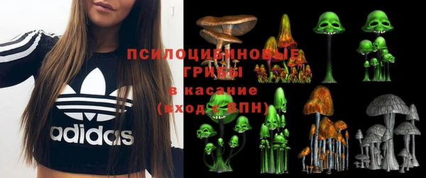 крисы Пестово