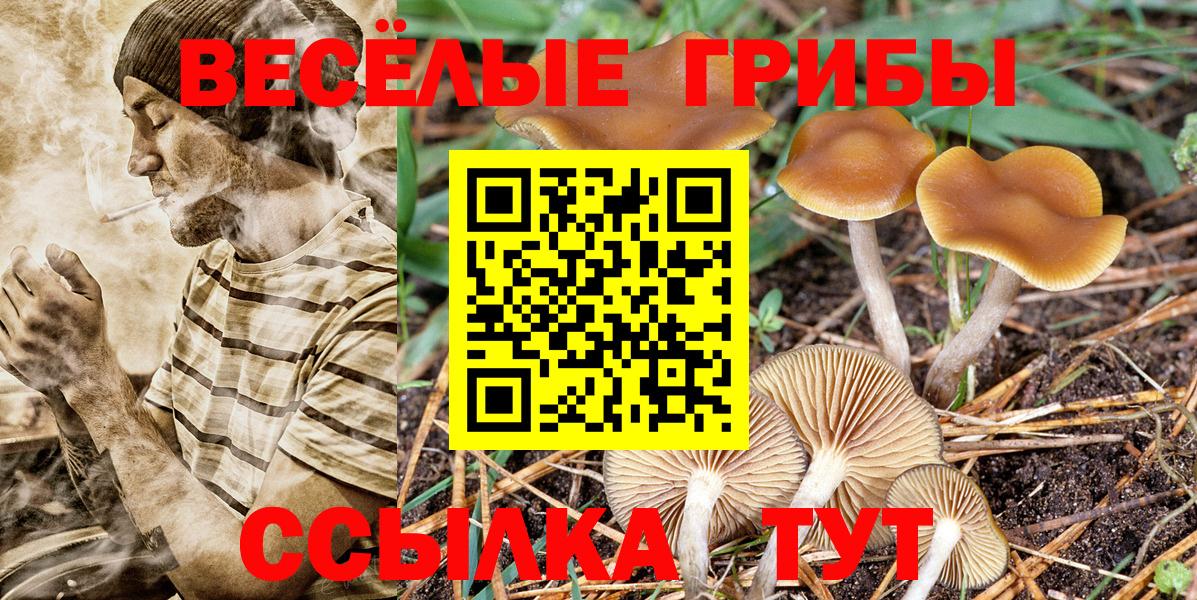 Канабис  ГАШ  Вход с VPN  МЕФ   NBOMe  ГАШ  Апрелевка  Cocaine 