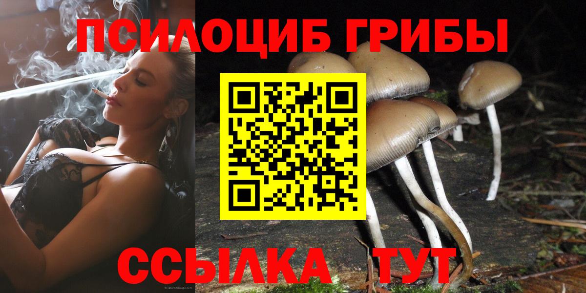 Псилоцибиновые грибы ЛСД Апрелевка
