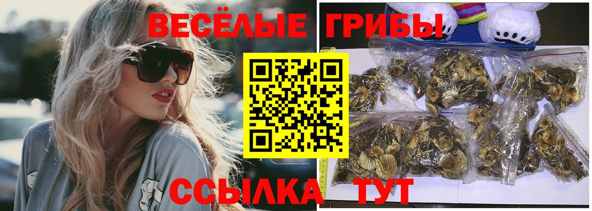 дарнет шоп  Апрелевка  Псилоцибиновые грибы MAGIC MUSHROOMS  Псилоцибиновые грибы Cubensis 