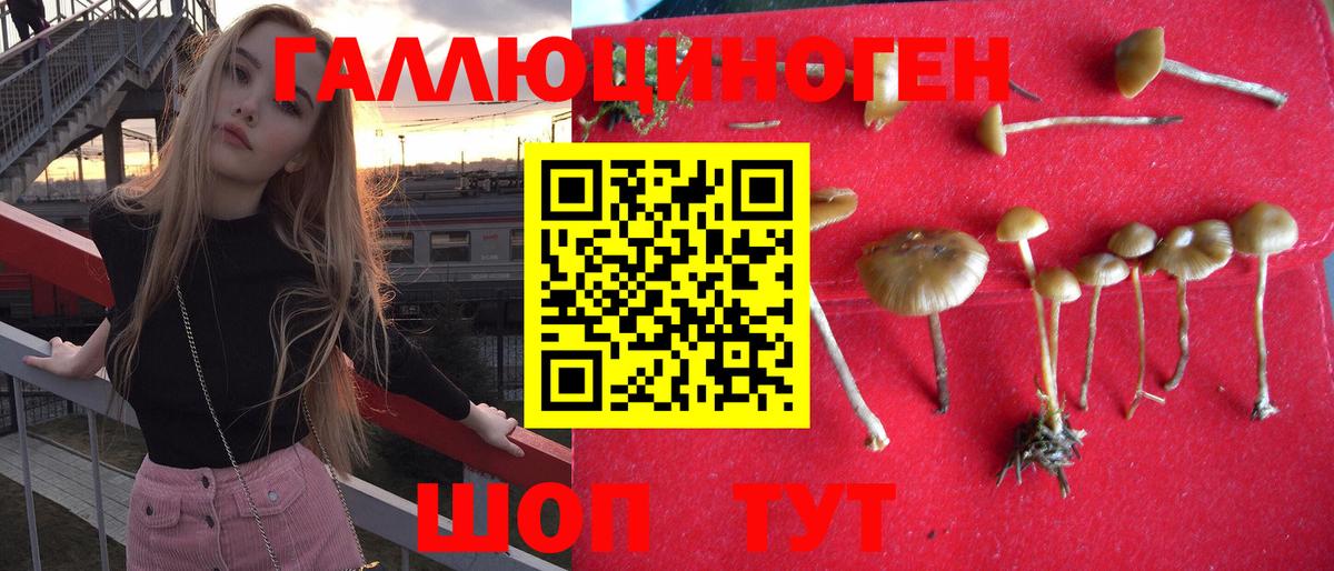 Апрелевка  Псилоцибиновые грибы мухоморы  Вход с VPN 